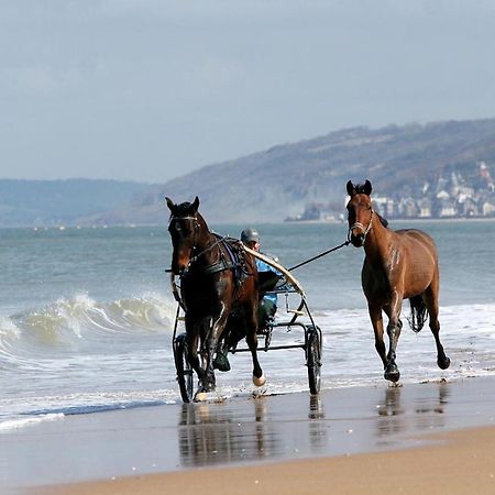 Le Nid De Plage A 100 M De La Mer 꺄부흐 외부 사진
