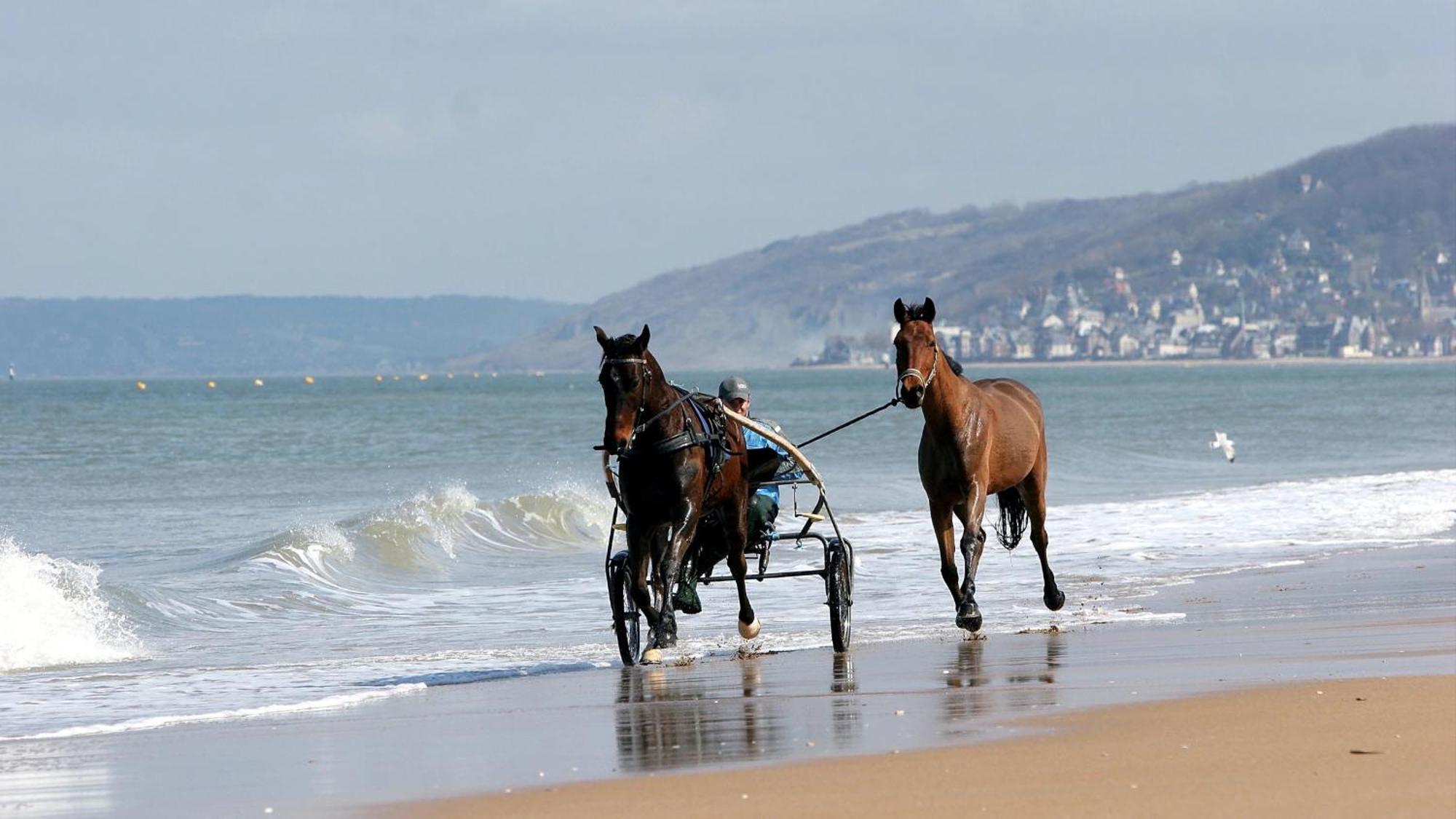 Le Nid De Plage A 100 M De La Mer 꺄부흐 외부 사진